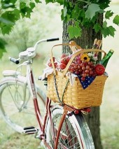 De picnic por los muelles de Burdeos en Vcub